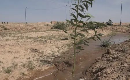 افتتاح مشتل وزراعة 1000 شجرة بمناسبة ميلاد القائد في دير الزور
