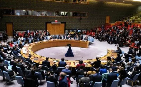 مجلس الأمن يصوت على مشروع قرار بشأن "عضوية فلسطين"