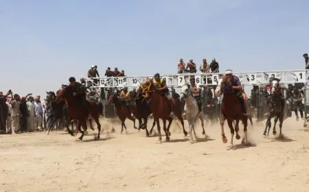 انطلاق مهرجان الربيع الأول للخيول الأصيلة في الحسكة