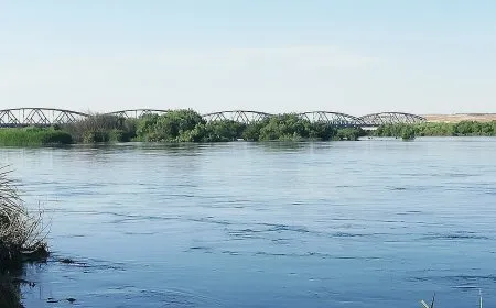4 أطفال قضوا غرقاً أثناء السباحة خلال 24 ساعة