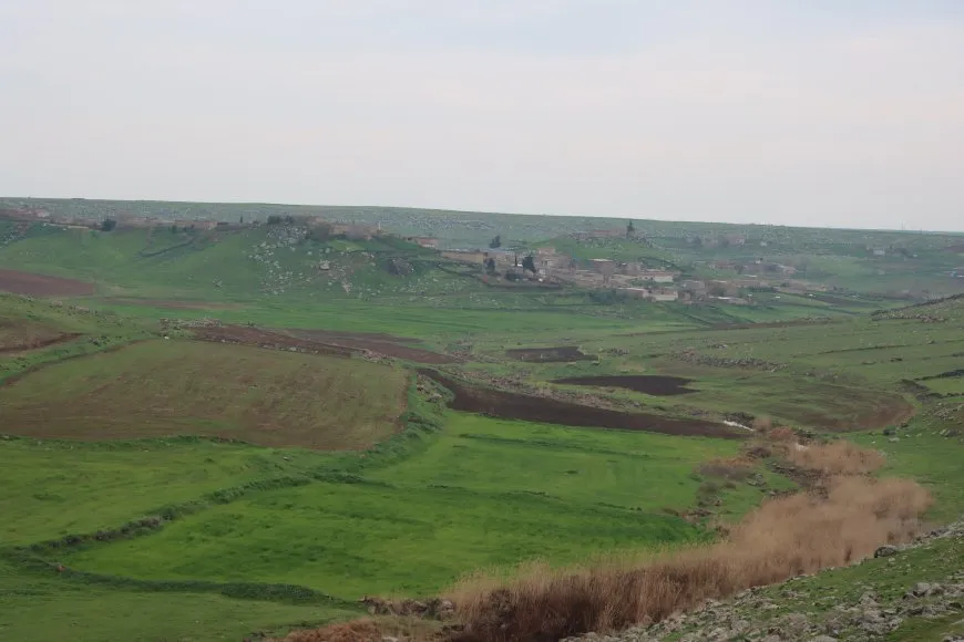 ربيع الجزيرة في صور