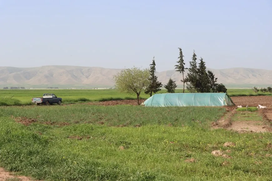 ربيع الجزيرة في صور