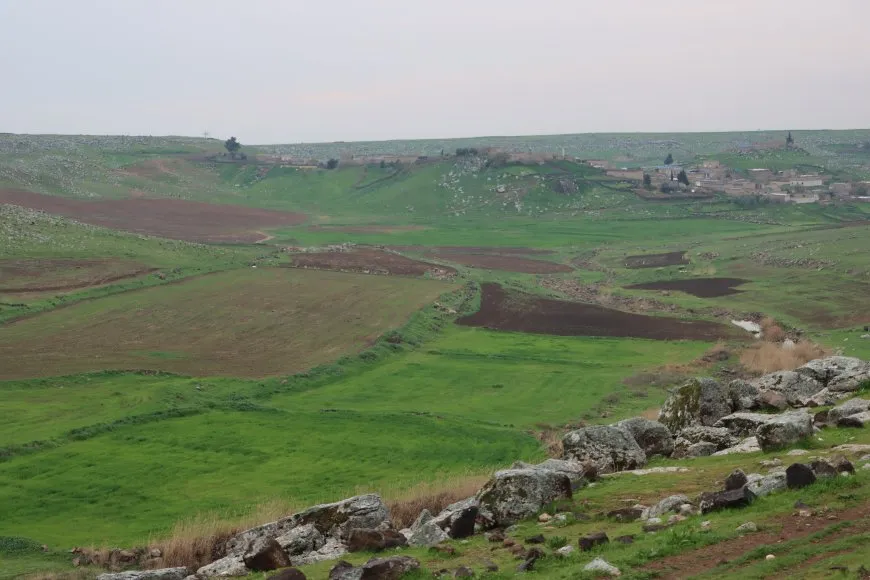 ربيع الجزيرة في صور
