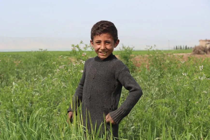 ربيع الجزيرة في صور