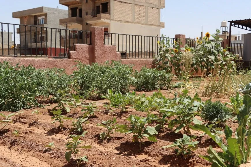 أدوية طبيعية لـ 21 مرضاً