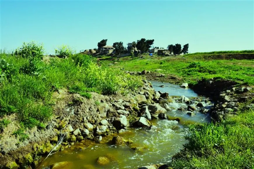 مشاهد ربيعية من ضفاف نهر الخابور في مقاطعة الجزيرة