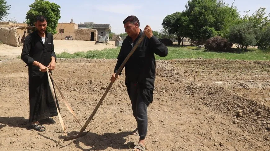 مقتطفات من ربيع دير الزور