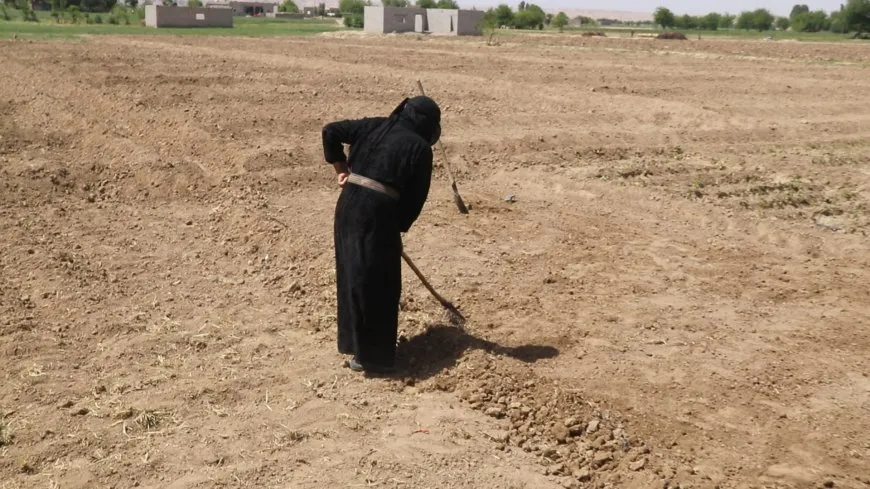 مقتطفات من ربيع دير الزور