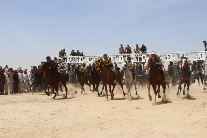 انطلاق مهرجان الربيع الأول للخيول الأصيلة في الحسكة