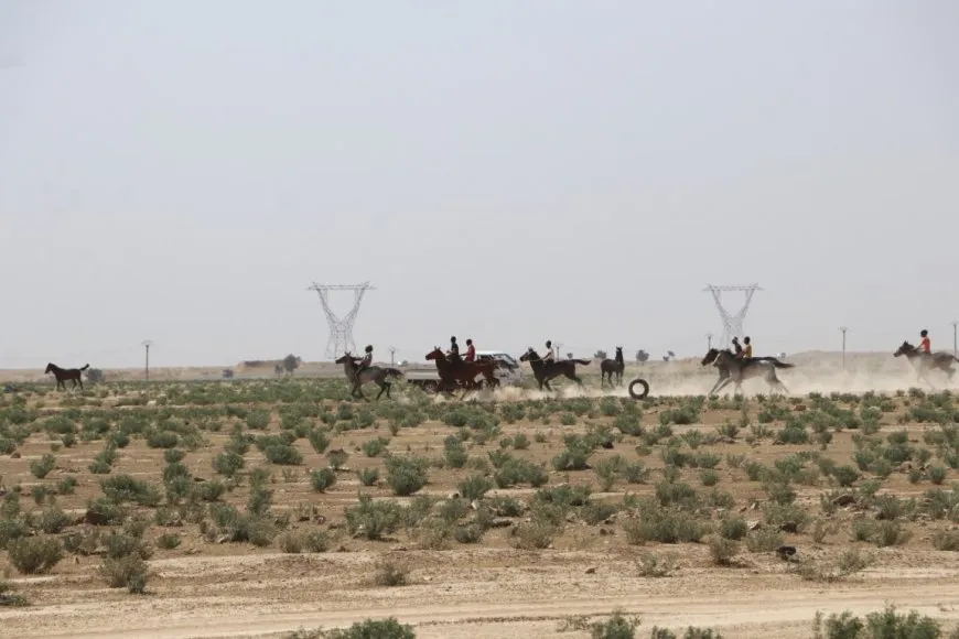 انطلاق مهرجان الربيع الأول للخيول الأصيلة في الحسكة