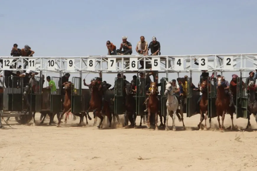 انطلاق مهرجان الربيع الأول للخيول الأصيلة في الحسكة