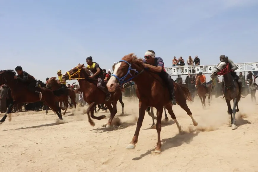 انطلاق مهرجان الربيع الأول للخيول الأصيلة في الحسكة