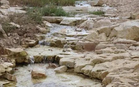 مياه الينابيع أنعشت الحياة في ريف منبج