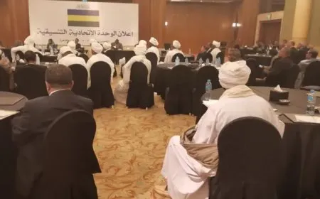 أحزاب سياسية توقع في القاهرة على "ميثاق السودان"