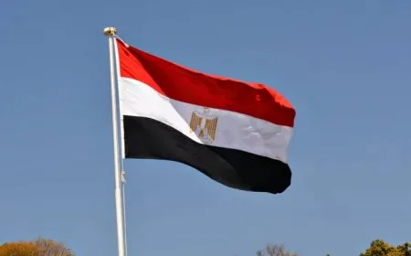 القاهرة تنضم إلى جنوب إفريقيا ضد إسرائيل أمام "العدل الدولية"