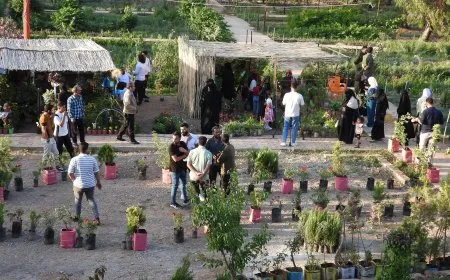  معرض الزهور الـ3  ينطلق في مقاطعة الطبقة
