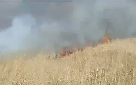 احتراق مساحة واسعة من الأراضي الزراعية بسبب قصف الاحتلال التركي