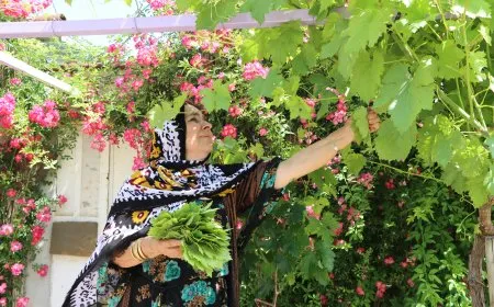 أوراق الفصول الأربعة