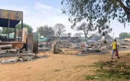 حاكم دارفور السودانية يعلن الاستنفار العام