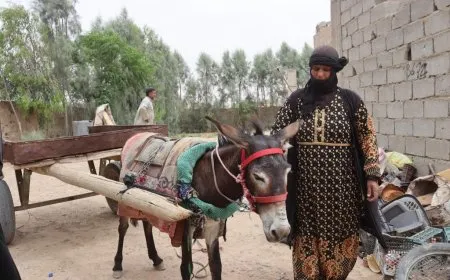 عربة الجرّ وسيلة نقل تقليدية صديقة للبيئة تفضّلها نساء إحدى قرى دير الزور