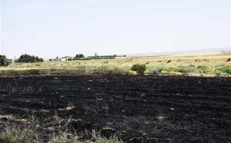 لجان الطوارئ تسيطر على حريق اندلع بمحصول القمح في تل تمر