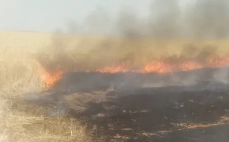 نشوب حريق بالمحاصيل الزراعية غرب جل آغا