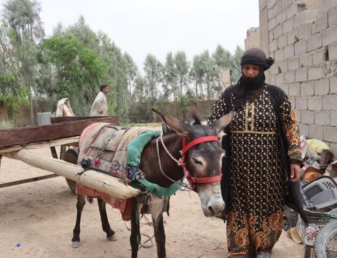 عربة الجرّ وسيلة نقل تقليدية صديقة للبيئة تفضّلها نساء إحدى قرى دير الزور
