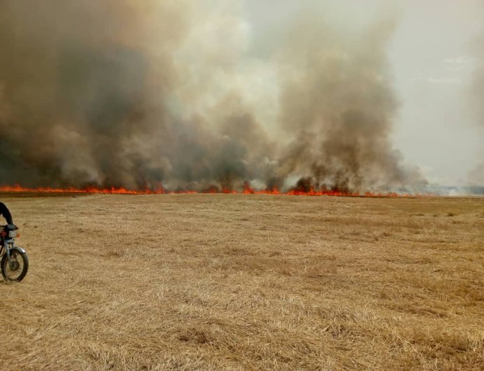 السيطرة على حريق ضخم اندلع بالمحاصيل الزراعية غرب جل آغا