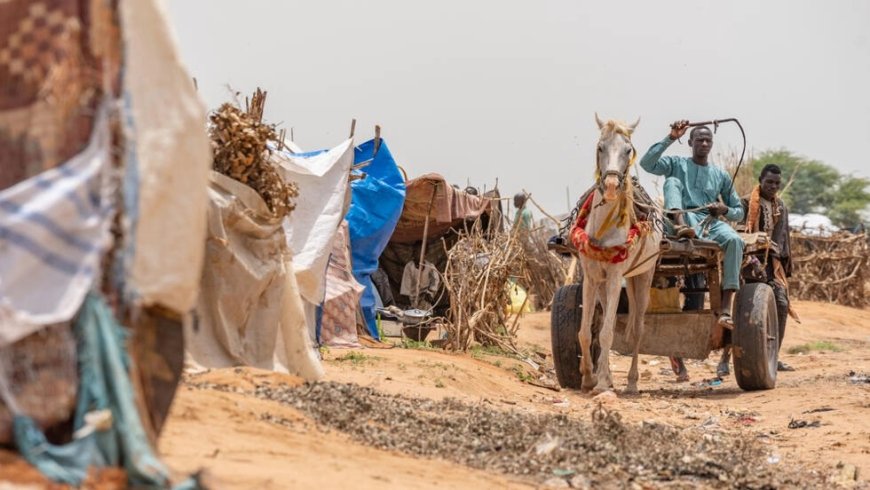 برنامج الأغذية العالمي يحذر من مجاعة وشيكة في الفاشر السودانية