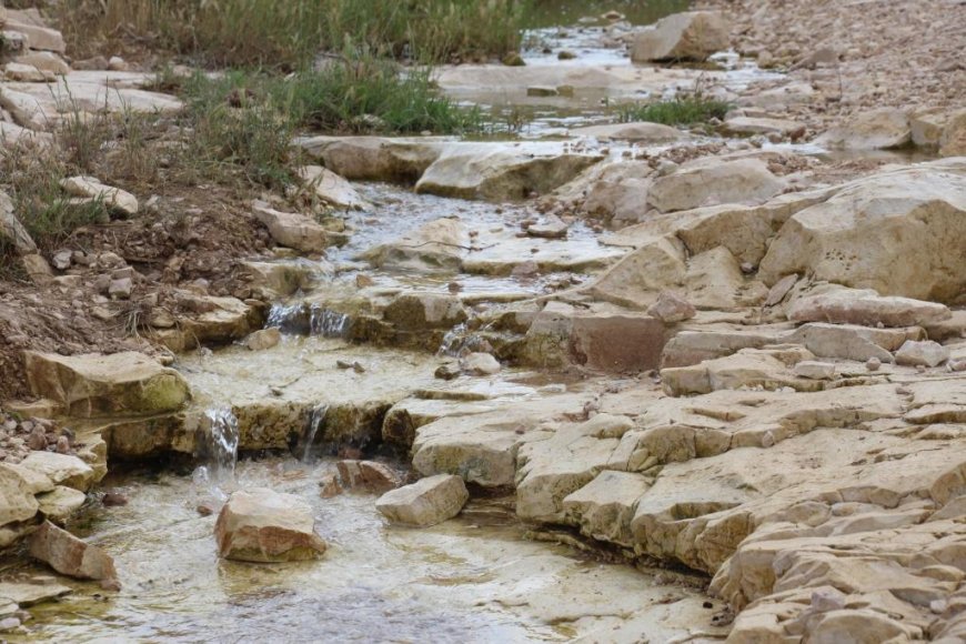 مياه الينابيع أنعشت الحياة في ريف منبج