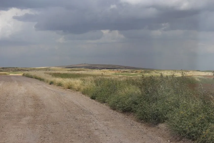 Farmers fear that the Turkish occupation will target their crops