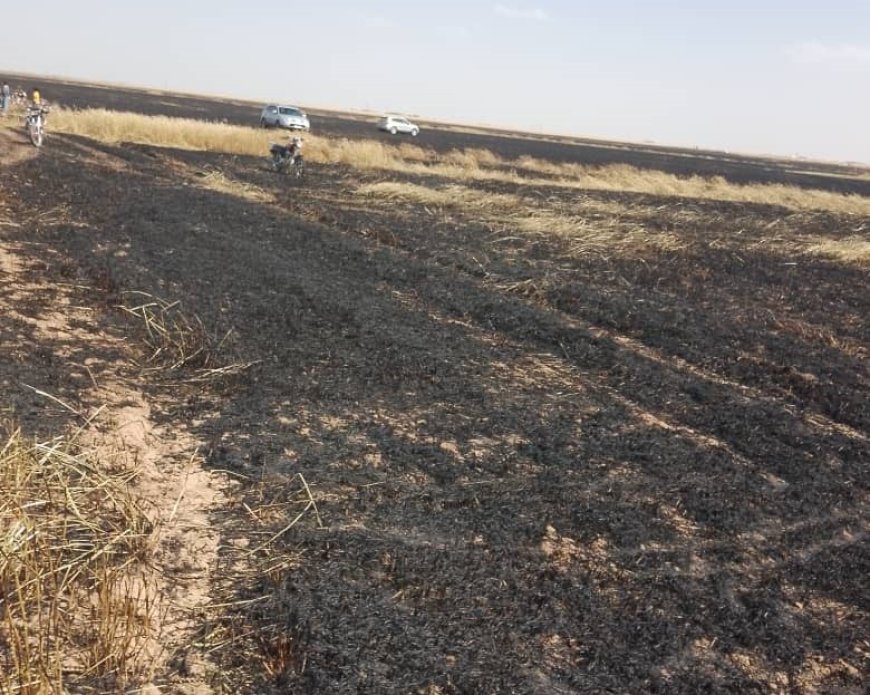 Burning of 100 dunams of wheat, barley crops in Tel Kochar