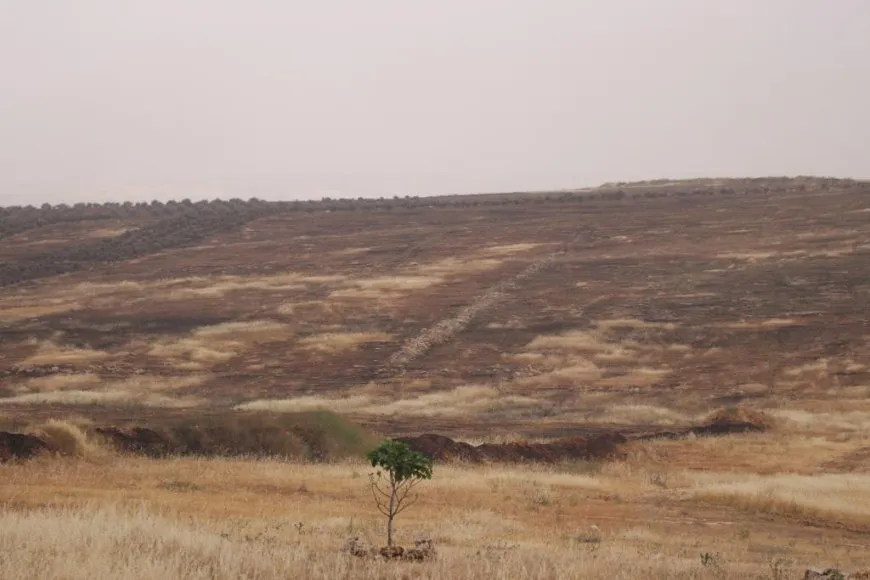 جنباً إلى جنب الحصادات ودوريات حماية المحاصيل لضمان سلامتها