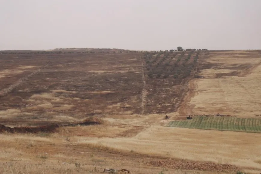 جنباً إلى جنب الحصادات ودوريات حماية المحاصيل لضمان سلامتها