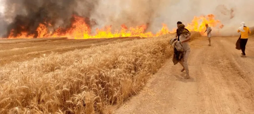 بجهود الأهالي وفوج الإطفاء السيطرة على حريق اندلع في محصول قمح