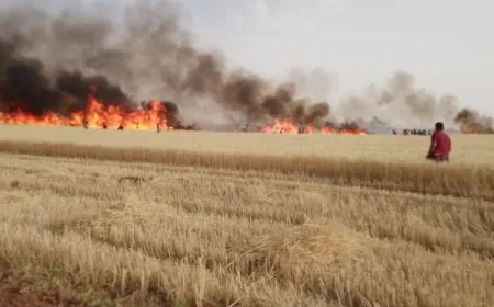 إخماد حريق اندلع بمحاصيل زراعية في ريف جل آغا