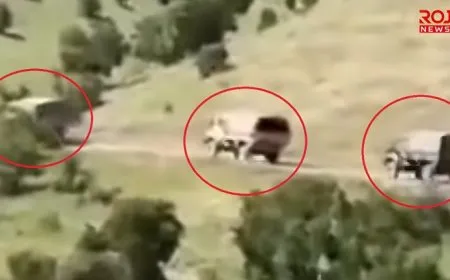 تحركات لجيش الاحتلال التركي في جنوب كردستان