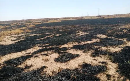 السيطرة على حريق في محصول شعير