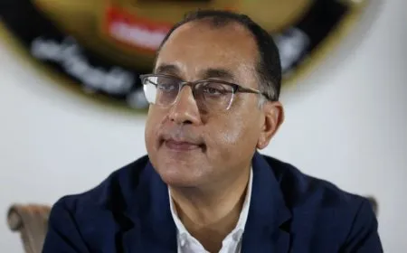 السيسي يدعو إلى تشكيل حكومة جديدة للحفاظ على محددات الأمن القومي المصري
