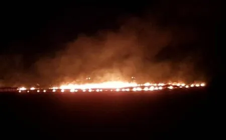 شهود عيان: جنود الاحتلال تعمّدوا إحراق المحاصيل الزراعية