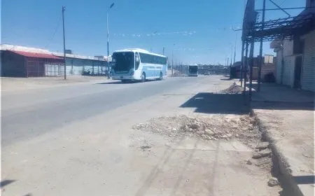  556 عراقياً يغادرون مخيم الهول