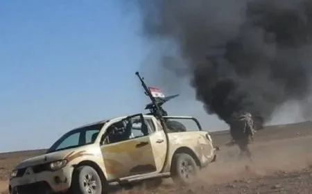 مقتل 5 عناصر في ريف حمص