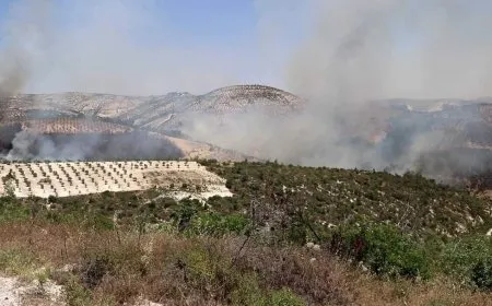منظمة حقوقية: حرائق مفتعلة تلتهم مئات الدونمات من المساحات الخضراء في عفرين