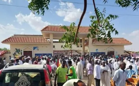 الحرب في السودان تغلق آخر مستشفى بولاية دارفور 
