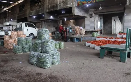 الإنتاج المحلي من الخضروات يخفّض الأسعار في السوق المحلية