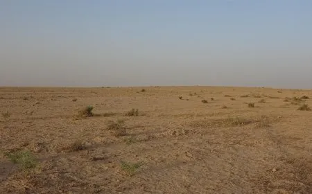 إحصائيات صادمة عن مستوى الجفاف والتصحر في شمال وشرق سوريا وأسبابها