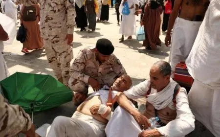عدد الحجاج الذين قضوا أثناء أداء الحج تجاوز 900 شخص