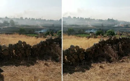 حريق في بقايا زراعية يتسبب باحتراق أشجار مثمرة في ريف جل آغا