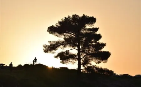 الحرارة شديدة والجو سديمي مغبّر 
