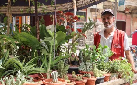 رحلة إسماعيل.. مركب الزهور والصبار في شوارع المدينة